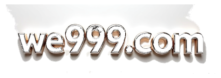 we999com logo